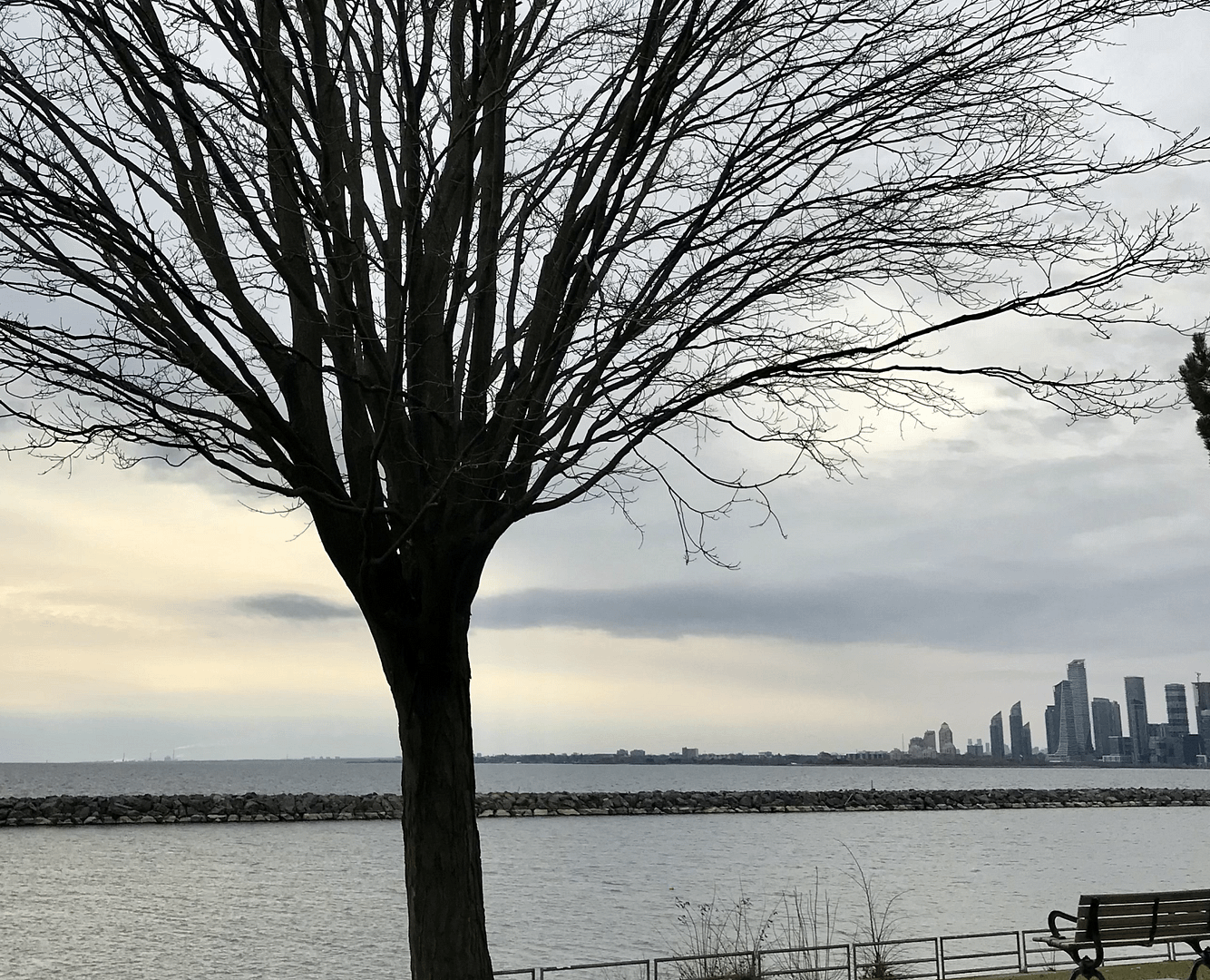 tree-creativity-search-blog