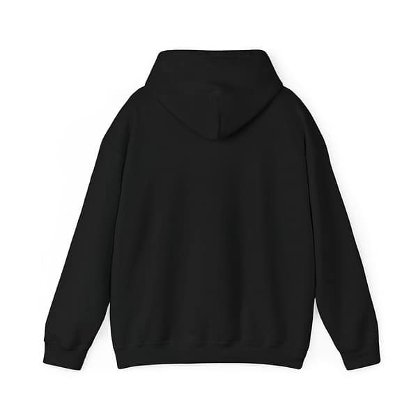 10729780200158283992_2048.jpeg Cat Hooded Sweatshirt