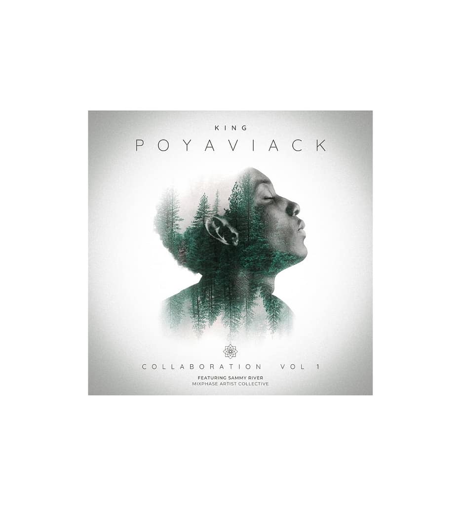 Collaboration - King Poyaviack(1 track 4min 51 sec)